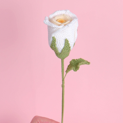 Classic Roses