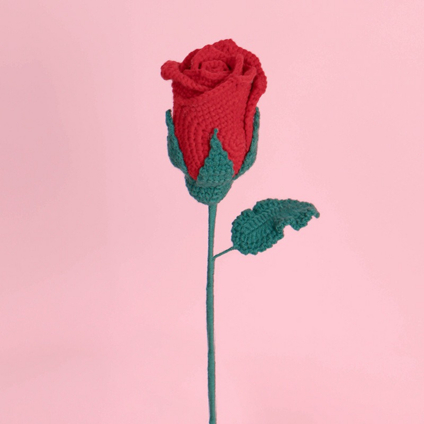 Classic Roses
