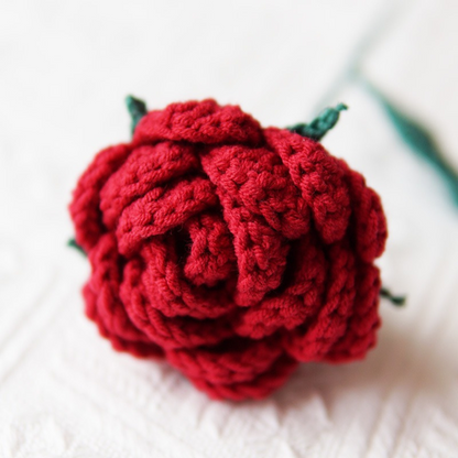Mini Roses