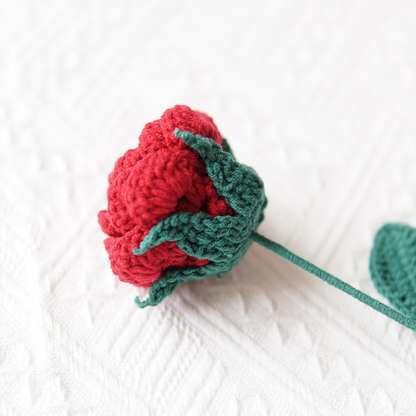 Mini Roses