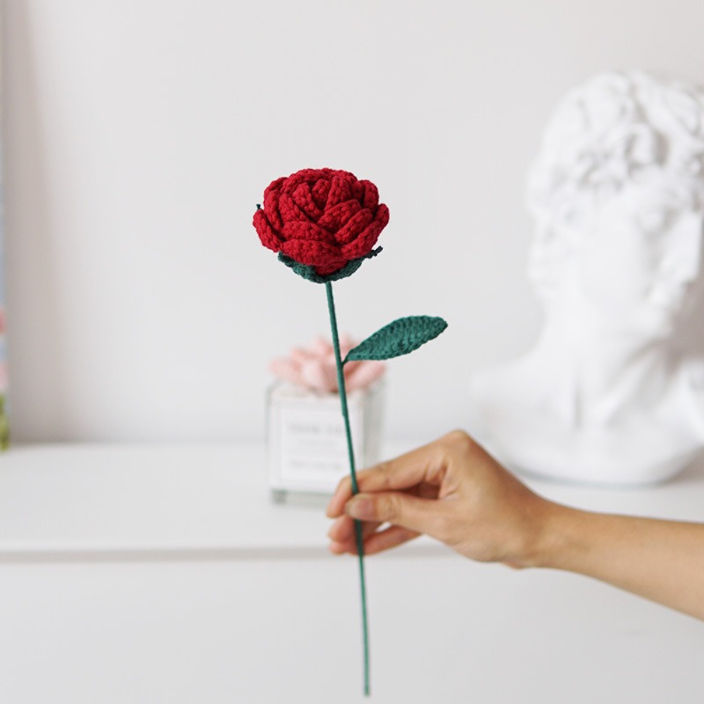 Mini Roses