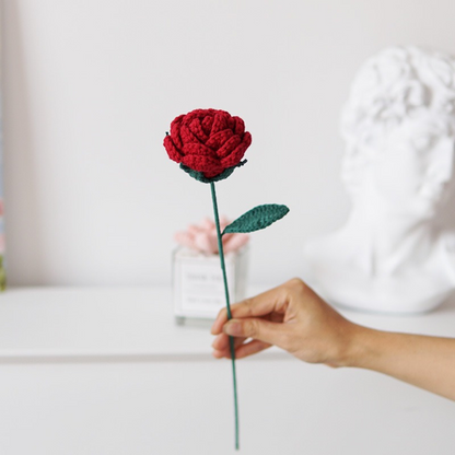 Mini Roses